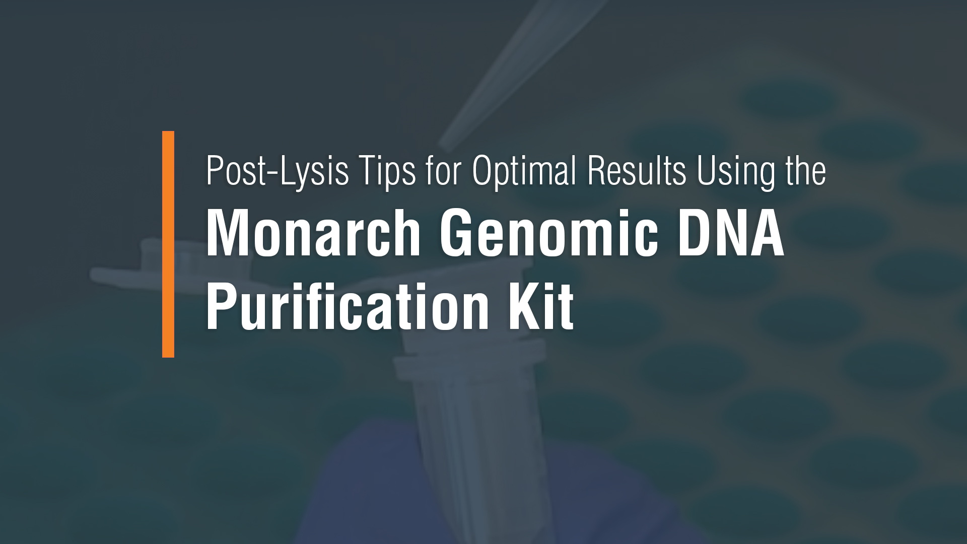 Monarch® gDNA Cell Lysis Buffer |