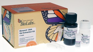 Monarch® DNA Gel Extraction Kit |