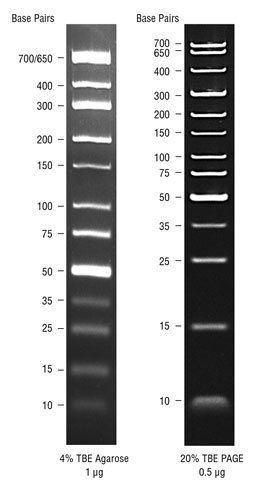 TriDye™ Ultra Low Range DNA Ladder |