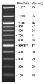 TriDye™ 100 bp DNA Ladder |