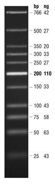 Quick-Load Purple Low Molecular Weight DNA Ladder |