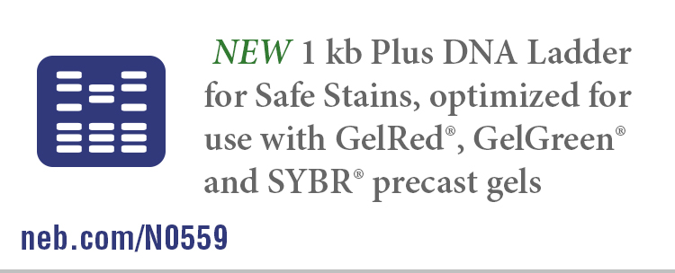 Quick-Load® Purple 1 kb Plus DNA Ladder |