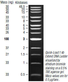 Quick-Load® 1 kb Extend DNA Ladder |