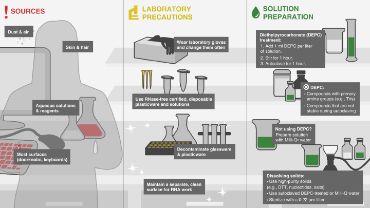 Magnetic mRNA Isolation Kit |