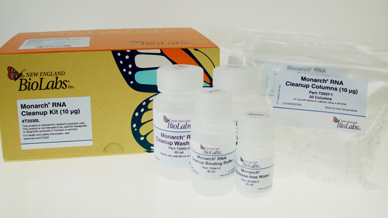 Monarch®  RNA Cleanup Kit (10 µg) |