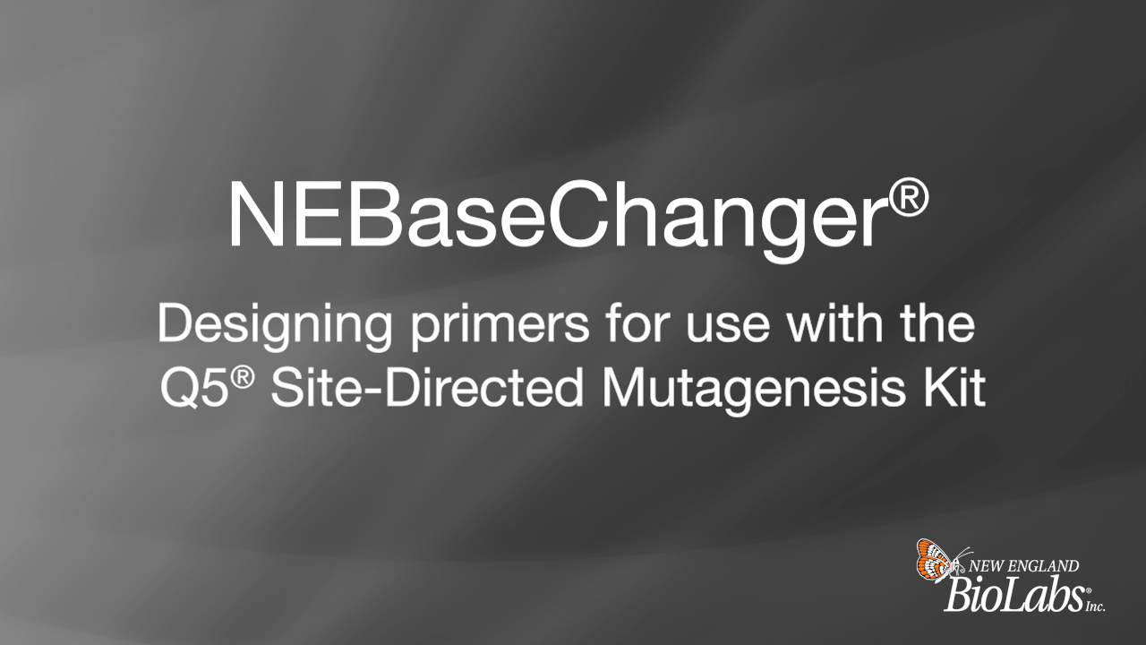 Q5® Site-Directed Mutagenesis Kit (Without Competent Cells) |