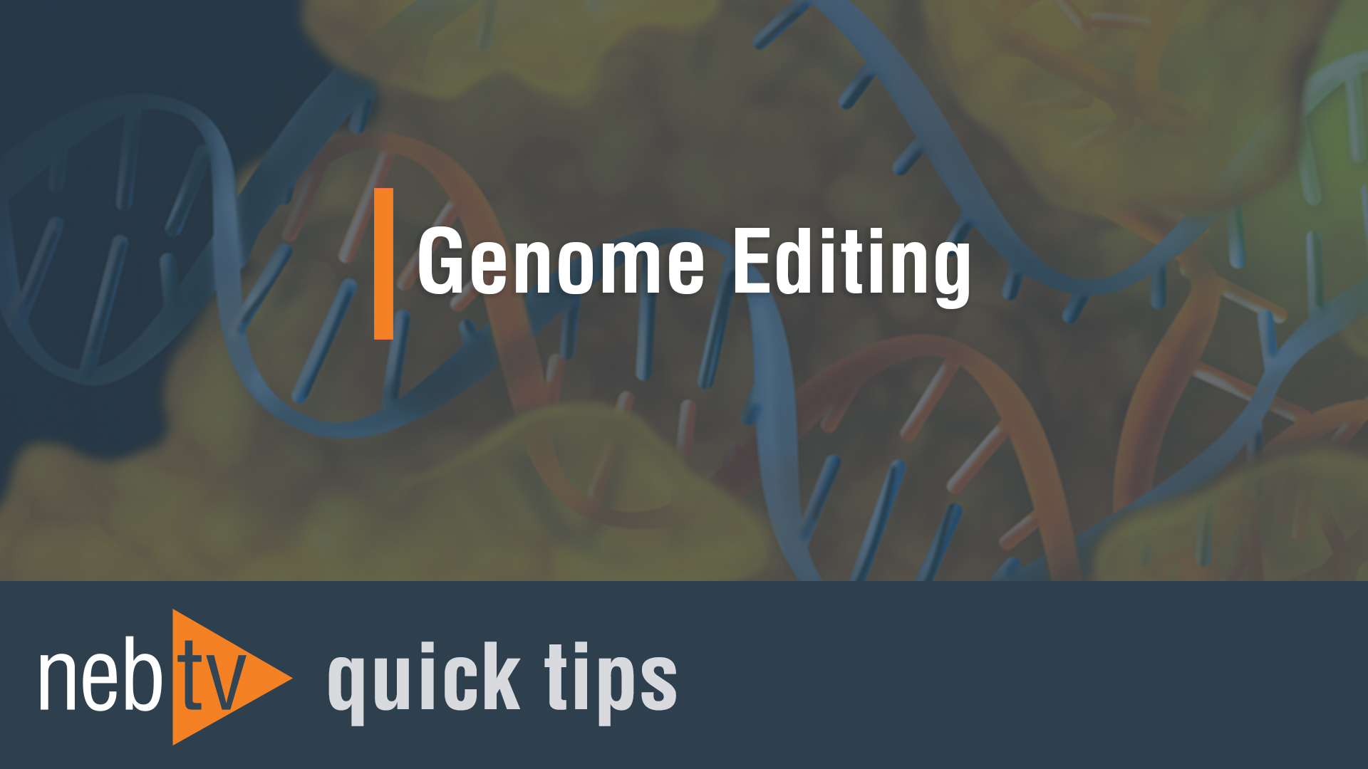EnGen® Mutation Detection Kit |
