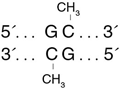 GpC Methyltransferase (M.CviPI)  |