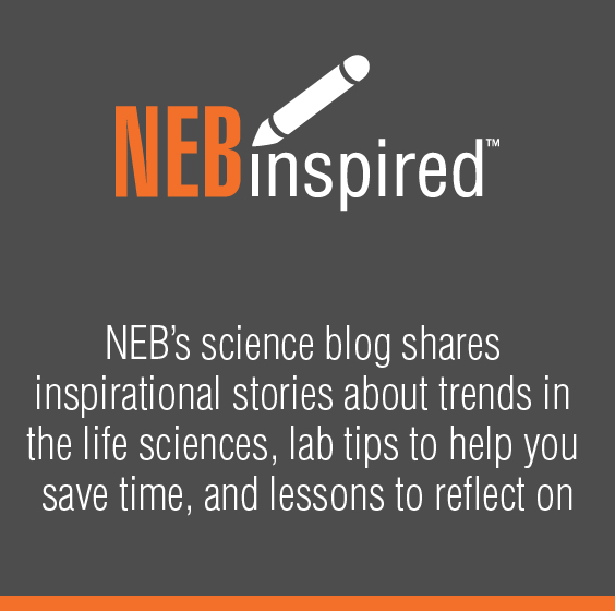 α1-2,4,6 Fucosidase O |