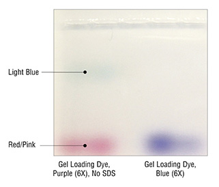 Gel Loading Dye, Purple (6X), no SDS |