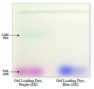 DNA Gel Loading Dye |