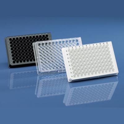Brand/普兰德 pureGrade™ 普通酶标板 384孔微孔板 100ul(781621)