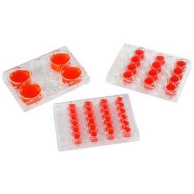 JET BIOFIL洁特 一次性细胞培养板 标准型 48孔 (TCP011048)