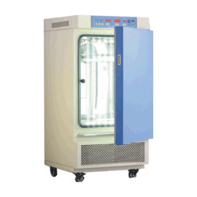 一恒 光照培养箱(普及型)(MGC-250P)