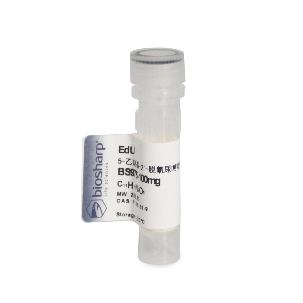 EdU（5-乙炔基-2-脱氧尿嘧啶核苷）