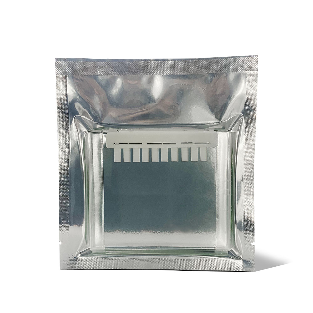蛋白预制胶Tris-Gly, 12％, 10孔, 1.0 mm（塑料胶板）