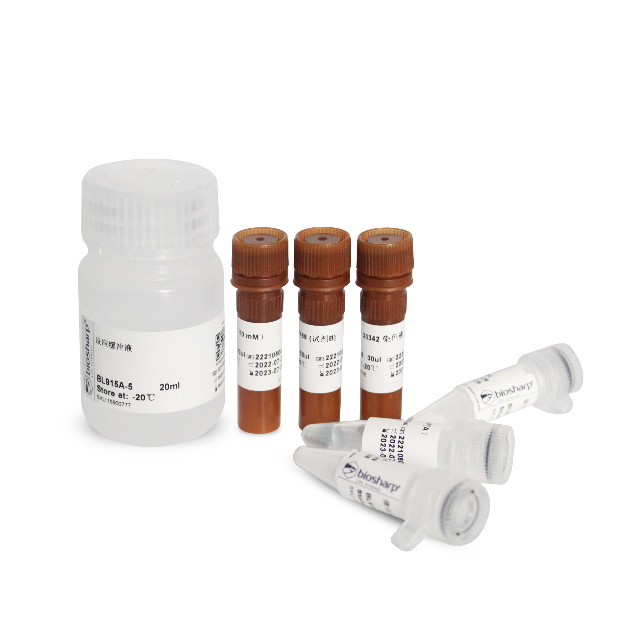 Click-iT EdU-488细胞增殖检测试剂盒(适用于FACS、FM)