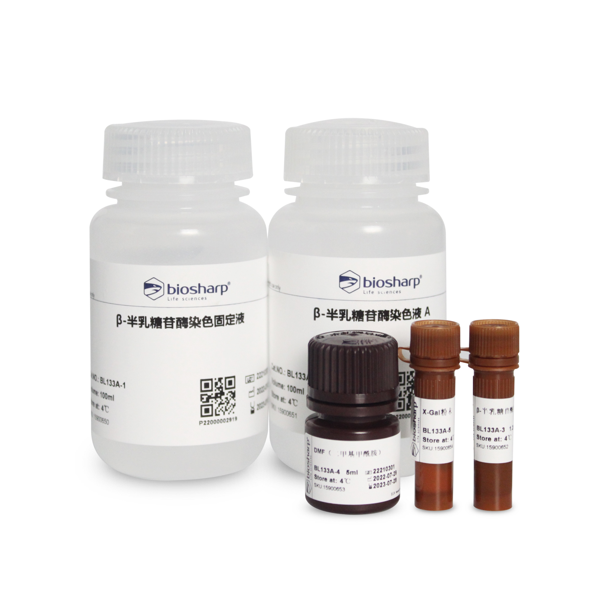 细胞衰老β-半乳糖苷酶染色试剂盒