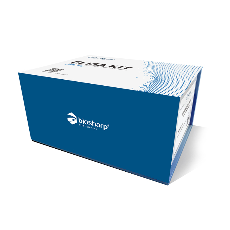 Rat CINC-1/CXCL1 ELISA Kit(趋化因子CXCL1)