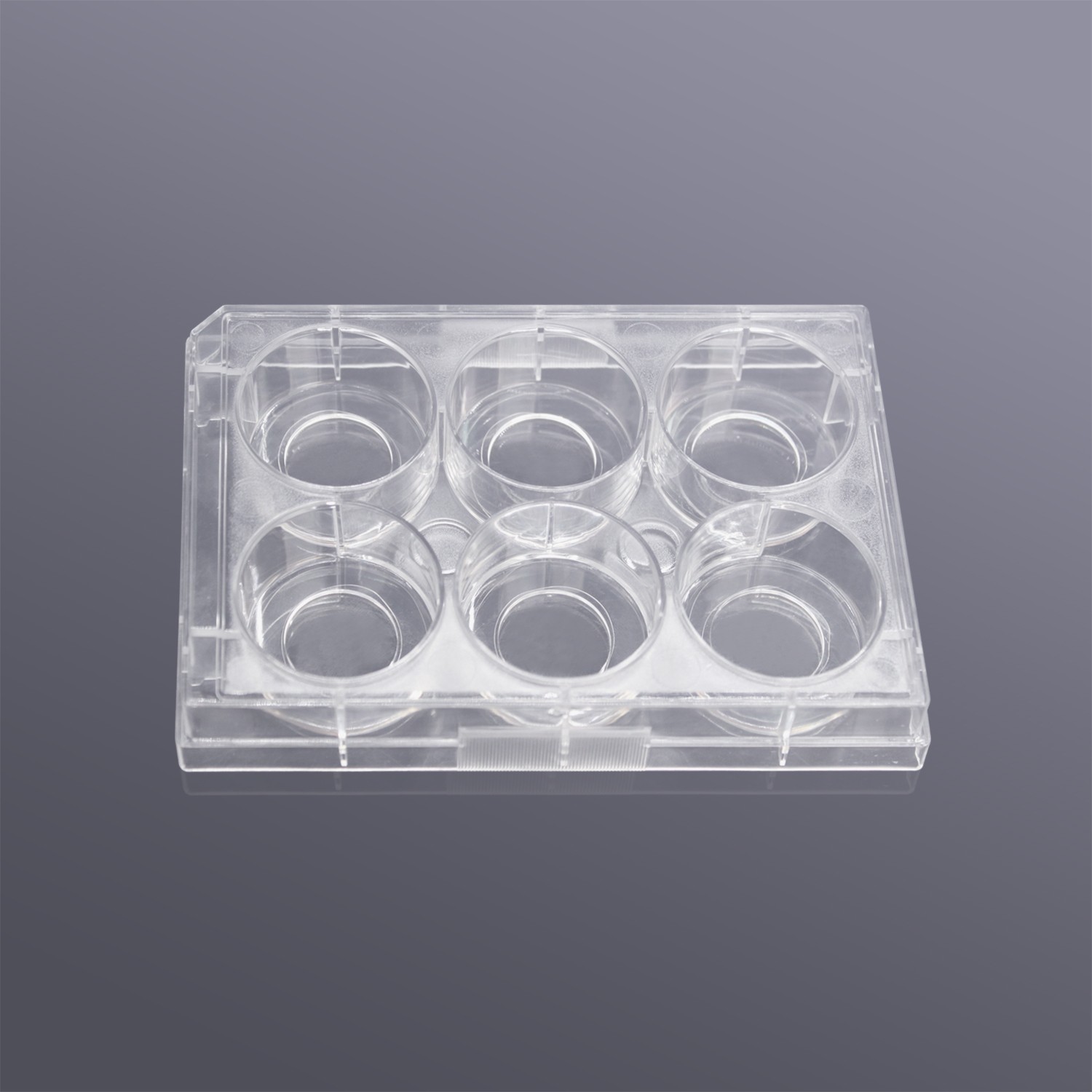6孔玻底/共聚焦培养板(玻底：20mm) 透明,无菌包装