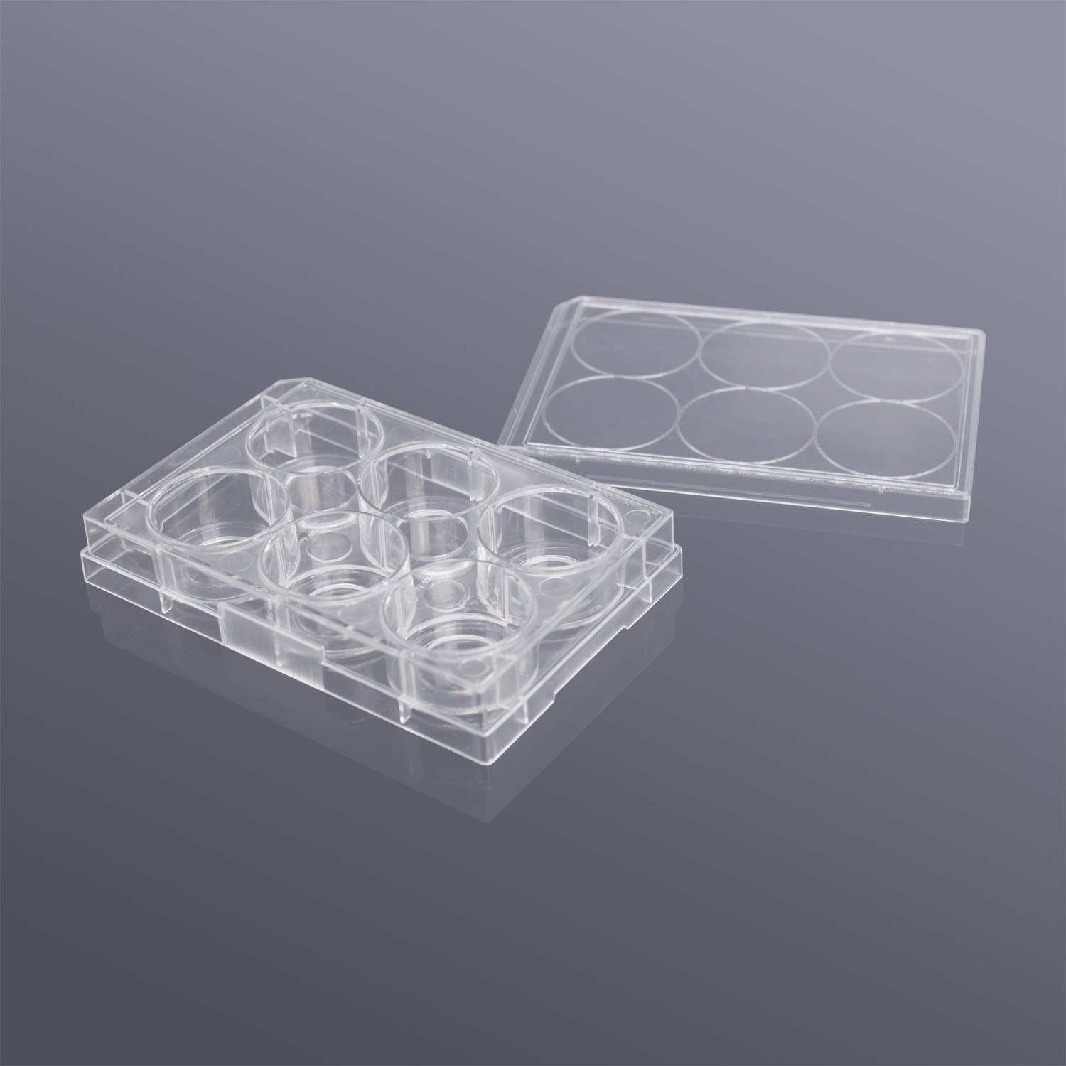 6孔玻底/共聚焦培养板(玻底：20mm) 透明,无菌包装