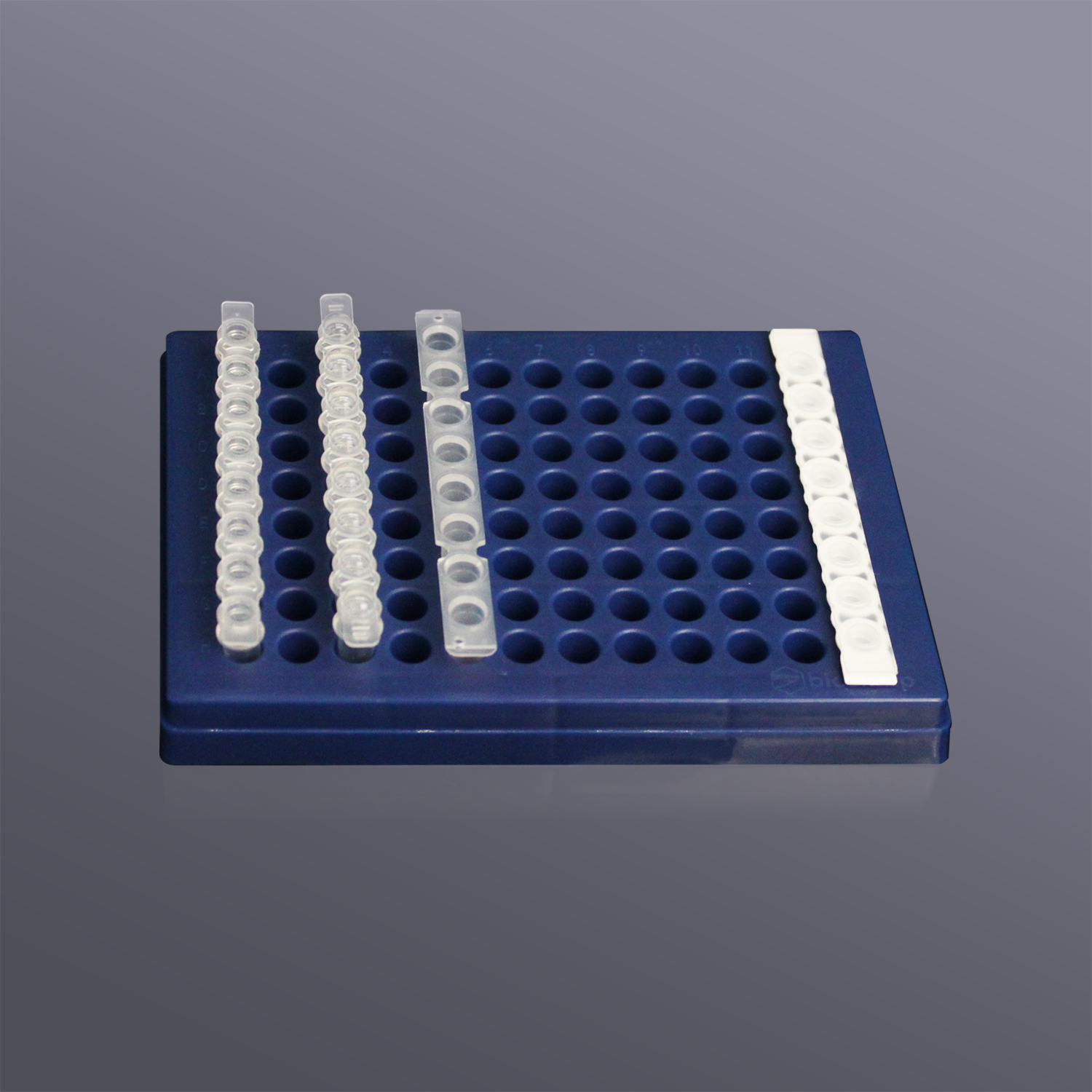 0.2ml薄壁管盒(PC),蓝色