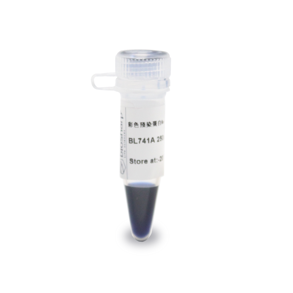 彩色预染蛋白Marker（10-250kDa）