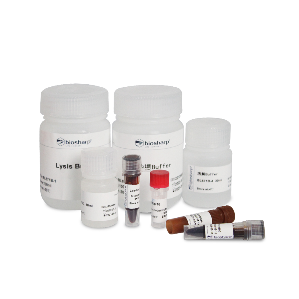 细胞膜蛋白和胞浆蛋白提取试剂盒