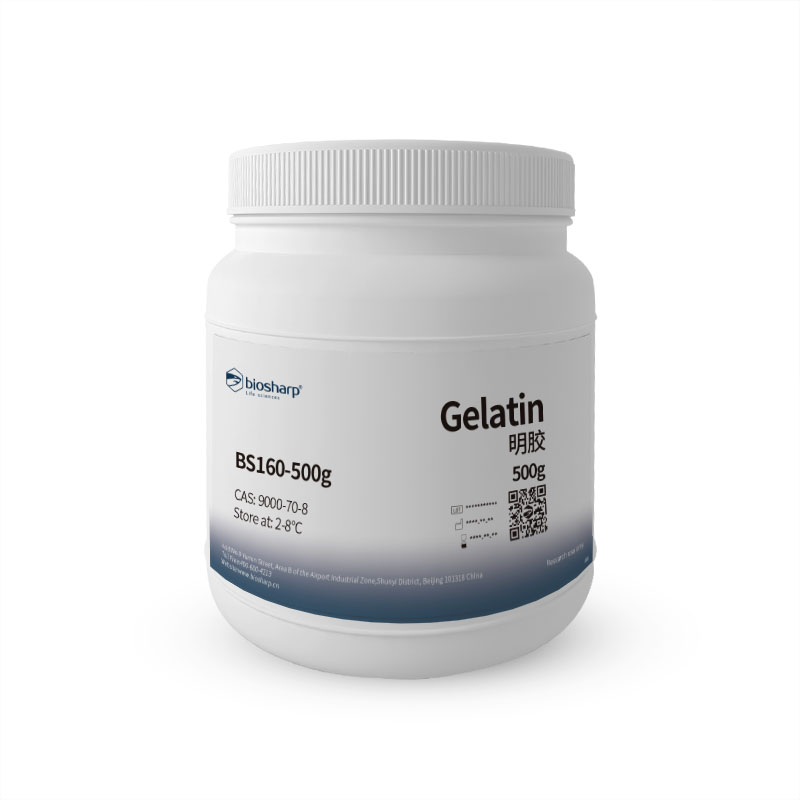 明胶Gelatin