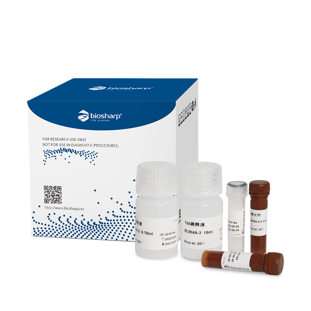 脂质氧化（MDA）检测试剂盒