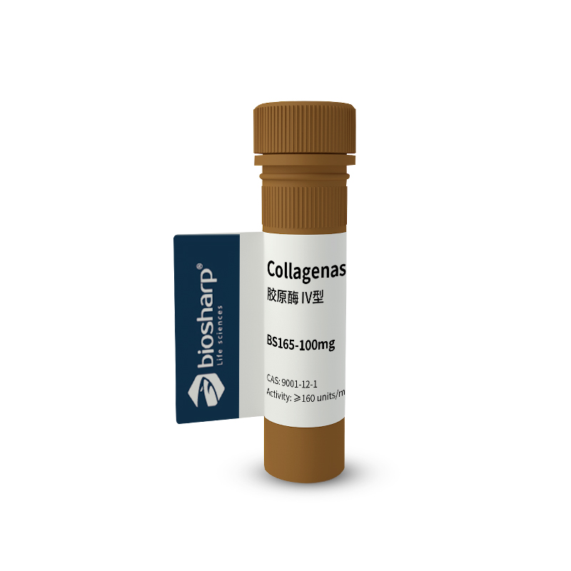 胶原酶IV型Collagenase IV 2-8度
