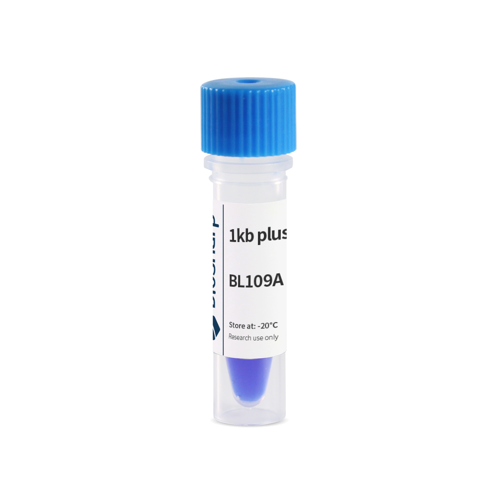 试剂1kb plus DNA Marker（100-10000bp）