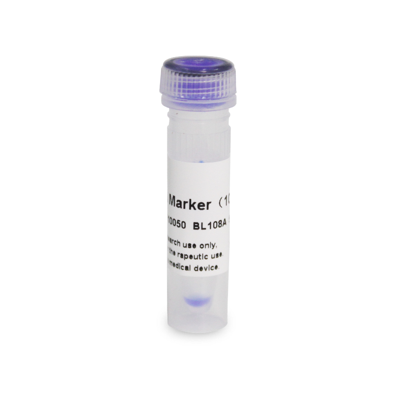 1kb DNA Marker（1000-10000bp）