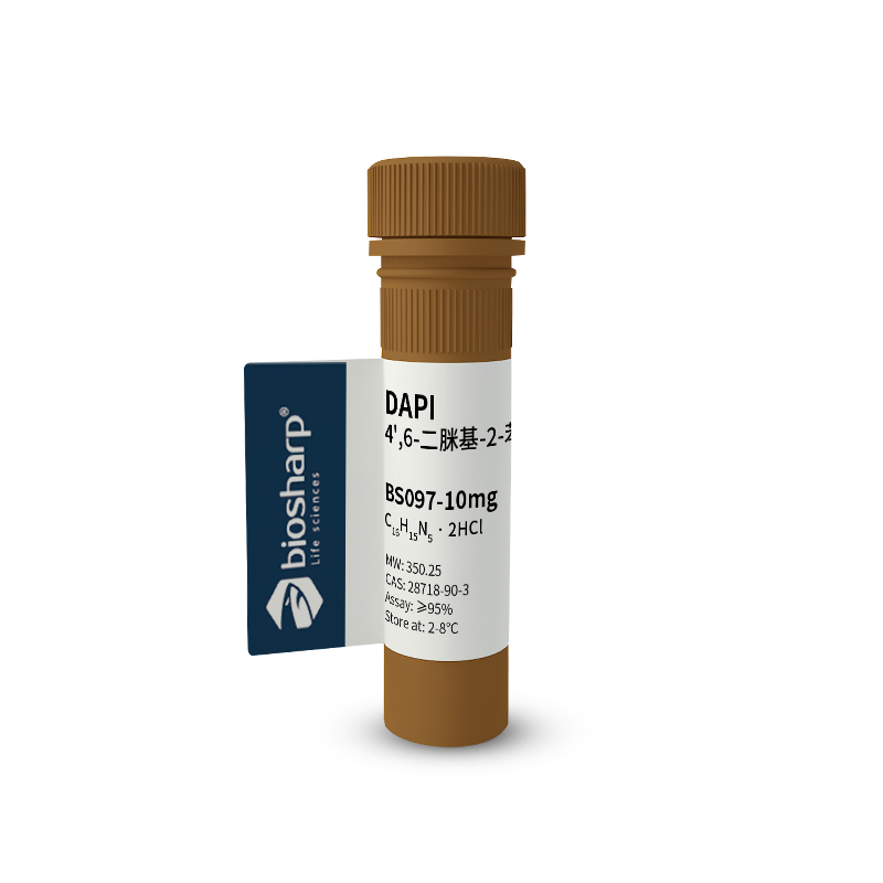 试剂 DAPI