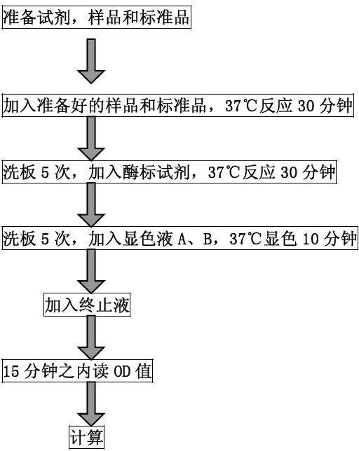 巨噬细胞炎性蛋白ELISA检测试剂盒MIP-1BS-0072