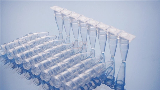 8联PCR管/0.1ml 0.2ml白色/透明含光学平盖V1082-C