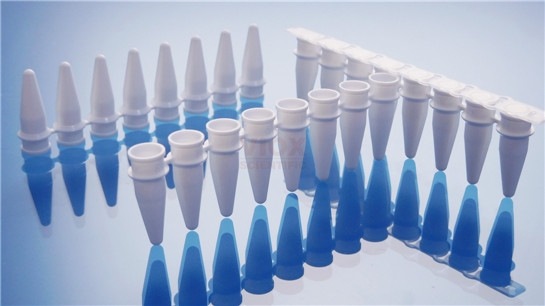8联PCR管/0.1ml 0.2ml白色/透明含光学平盖V1082-C