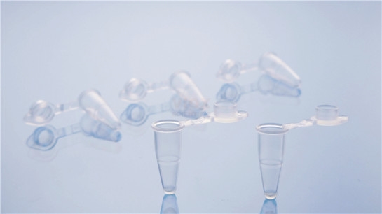 上海 PCR单管（PCR管平盖）透明V101-C