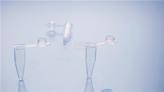 PCR平盖单管|0.1ml透明PCR管V101-C
