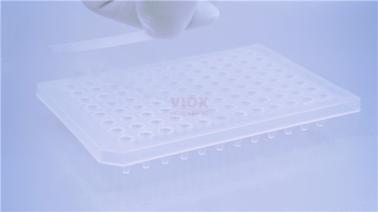 PCR板封口膜透明荧光定量pcr封板膜V4801-M
