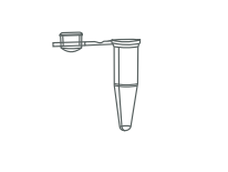 EPPendorf 艾本德PCR仪用pcr单管0.2ml透明V201-C