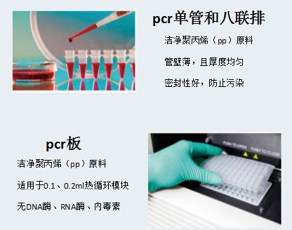 BUNSEN0.1/0.2mlPCR 8联排管平盖透明