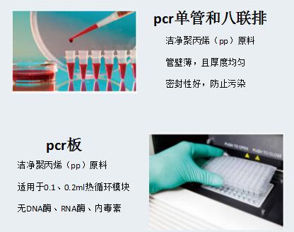 0.1ml 96孔PCR板-无裙边 透明 10块/包BS-PCR-96-01-T