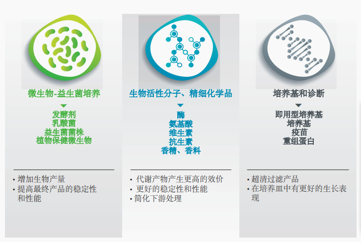 Lallemand Frementation Ingredients 酵母原料