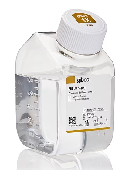 磷酸盐缓冲液(1×PBS,无钙镁，无菌) （Gibco™）