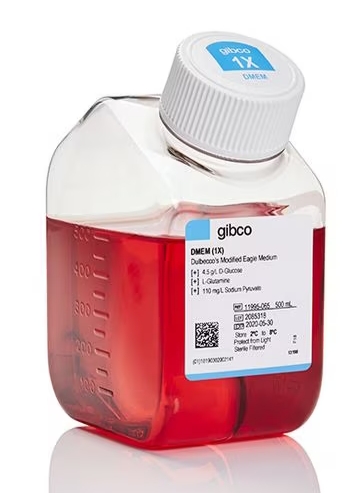 DMEM，高糖，含丙酮酸盐（Gibco™）