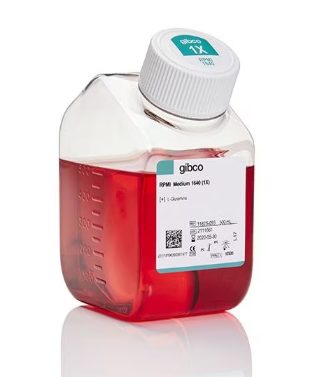 RPMI 1640 培养基（含L-谷氨酰胺和酚红，不含HEPES）（Gibco™）